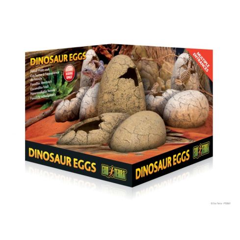 Exoterra Dinosaur eggs Terraariokoriste piilo