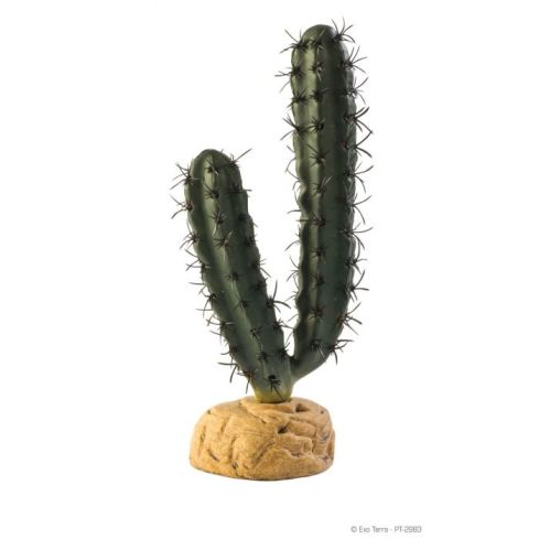 Exoterra kaktus haarautuva jalalla